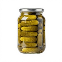 Cornichons (Gherkins) en conserve de qualité supérieure, épicés, assaisonnés, aigre-doux, conservés dans du vinaigre, fournisseur en gros pour l'exportation
