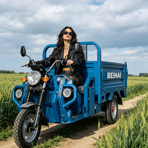 2026 BEIHAI Three Wheeled Supercar Cheap Mini 60V 2000W Scooter 3 Wheel <b>Passenger</b> Tricycles for Adults - Product Image 3