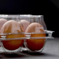 Caja para Huevos de 4 Compartimentos, Envase Desechable de Plástico PET con Orificios para Cartón, para Sushi y Chicle, Paquetes Personalizados de Blíster PET