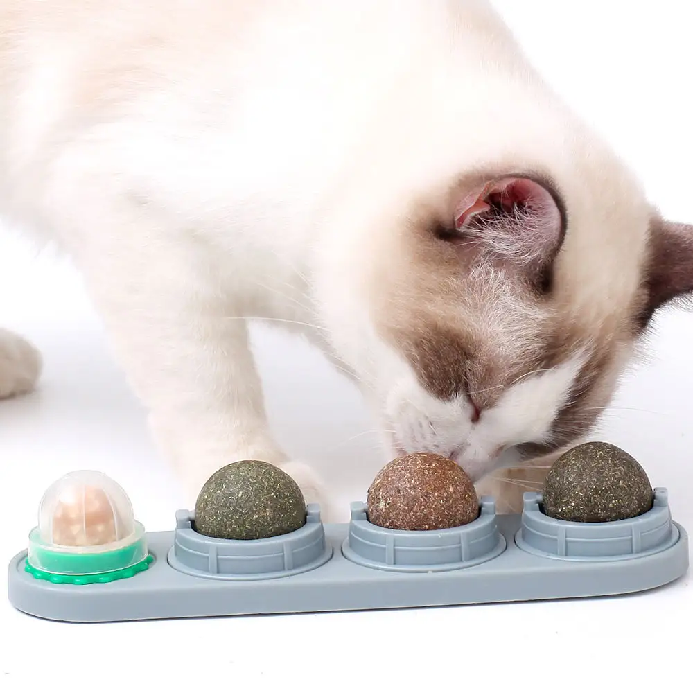 كرة لعبة دوارة من عشب القطة للتنظيف الصحي للأسنان وللعق القطة
