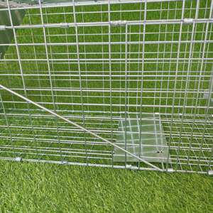 Jaula trampa para animales vivos humana de gran oferta galvanizada plegable de alta calidad para Conejo, zorro, mapache, mofeta, perro, <span class=keywords><strong>Lobo</strong></span> - Product Image 6