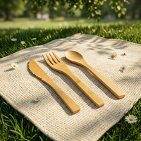 Ensembles de vaisselle jetables biodégradables écologiques en bambou, couteau à fruits, fourchette et cuillère de 140 mm pour mariages, fêtes, pique-niques, hôtels