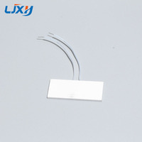 LJXH 1PC Plaque chauffante en céramique d'alumine pour fers électriques et chauffe-eau 20*20*2mm