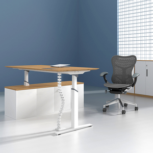 Bureau électrique pliable réglable en hauteur, table assis-debout à 2 moteurs, bureau à hauteur réglable – Offre Spéciale - Product Image 2