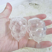 Composants de coque gonflable transparente en forme de raisin DIY, jouet de décompression à presser vide pour soulager le stress