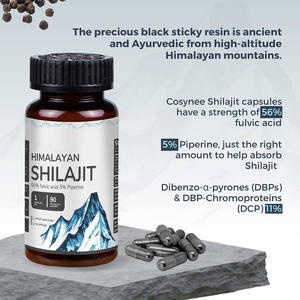 Shilajit OEM/ODM para soporte inmunológico Cápsulas de Shilajit del Himalaya Cápsulas de extracto de Shilajit Soporte cerebral Suplemento de ácido fúlvico - Product Image 4