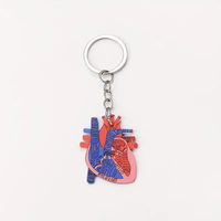 Organe médical anatomie biologique coeur acrylique infirmière sur le thème porte-clés Simulation créative porte-clés en forme de coeur sac pendentif cadeau