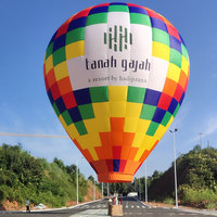 Vente chaude dessin animé forme gonflable ballon à air chaud suspendus ballon garfield hotair