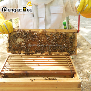 Nueva Herramienta para Colmenas de Abejas Menger Bee HT-8 de Acero Inoxidable con Raspador en Forma de J para Apicultura - Product Image 3