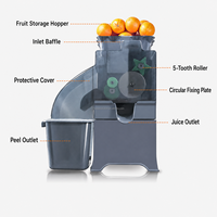 Sokola Tenga Sapcentrifuge, Lebu Sapcentrifuge, Limon Chiquito Sapcentrifuge, Sot Parite Sanut Fruit Sapcentrifuge, Zoete Gepelde Kumquat Sapcentrifuge