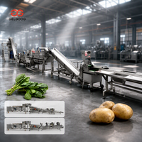 Multifunctionele roestvrijstalen, zeer efficiënte groente- en fruitwasmachine met bubbelfunctie en snijfunctie