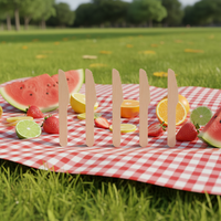 Couteaux en bois écologiques jetables, vente en gros, 100 pièces, en bois de bouleau compostable, style classique, pour la restauration et les fêtes