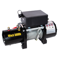 Mini treuil électrique pour voiture avec capacité de 6000lbs/12000lbs, 12v/24v, câble en acier, palan pour automobiles