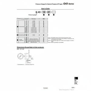 เครื่องวัดความดัน G43-4-01ด้วยตนเองแบบแมนนวลบริการเติมเต็มตัวแปร - Product Image 1