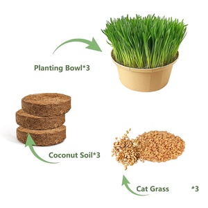 Juego de 3 Herramientas Ecológicas para Césped con Fibra Vegetal para Uso en Interiores/Exteriores - Product Image 2