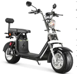 1500W 60V 40AH Electric Citycoco with Two Seat Rent Electric Scooter in EU Warehouse 10inch Ally wheels in EU warehouse