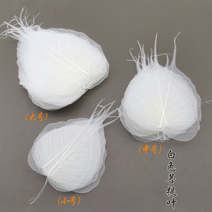 Marcapáginas Decorativo Transparente con Hoja de Bodhi, Flores Secas Blancas, Manualidades, Hojas de Diferentes Tamaños: Pequeñas, Medianas y Grandes - Product Image 1