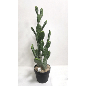 Cactus artificiel en plastique, plante paysagère, ornement de jardin pour la décoration intérieure, plantes artificielles, vente en gros d'usine. - Product Image 2