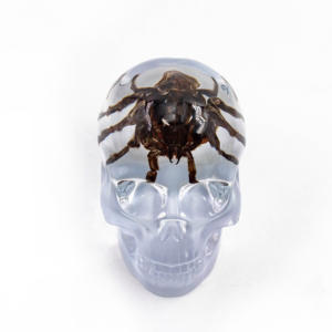 Calaveras de Cristal Transparente con Flores Secas en Resina Natural Pulida de Alta Calidad con Propiedades Curativas para Decoración del Hogar - Product Image 3