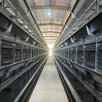 Tout nouvel équipement de poulet de volaille automatique galvanisé par immersion 3/4 niveaux cage de poulet H Type système d'emballage d'oeufs couche d'oeufs