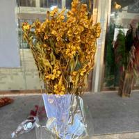 Fleurs de papillons naturels préservées pour le Nouvel An, en gros, pour arrangements de bouquets de mariage – Solution tout-en-un