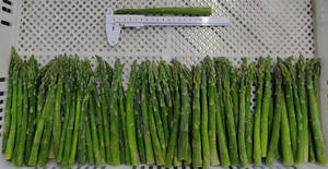 <span class=keywords><strong>Asperges</strong></span> fraîches au meilleur <span class=keywords><strong>prix</strong></span> <span class=keywords><strong>Asperges</strong></span> IQF Fournisseurs de pointes et de coupes <span class=keywords><strong>blanches</strong></span> et vertes <span class=keywords><strong>Asperges</strong></span> congelées pour acheteurs en gros - Product Image 4