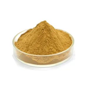 Wholesale price sweet oregano leaf extract powder 100% oregano leaf extract