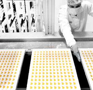 Advanced <b>Gummy</b> Production Line for Making Probiotic-Rich <b>Gummies</b> for Digestive Health and Gut Wellness - Product Image 5
