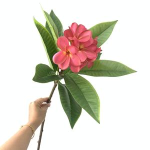 S1075 Fleur artificielle de frangipanier de haute qualité, toucher réel, imprimée en 3D, frangipanier, plumeria <span class=keywords><strong>rubra</strong></span>, fausse fleur pour la décoration de mariage et de la maison - Product Image 4