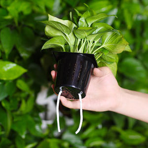 Planteur mural de plante à eau vertical, 2 mètres, avec circulation automatique, cadre de fer en <span class=keywords><strong>plastique</strong></span>, pot de fleurs paresseux - Product Image 5