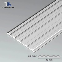 Profilé antidérapant en alliage d'aluminium pour escaliers, intérieur et extérieur, pour les bords des carreaux et des sols en marbre