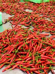 พริกสดจากเวียดนามสินค้าเกษตรคุณภาพสูงขายส่ง - Product Image 6
