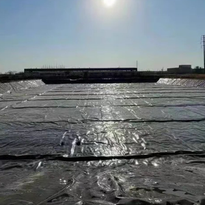 <span class=keywords><strong>HDPE</strong></span> PVC polyethylene LLDPE <span class=keywords><strong>LDPE</strong></span> geomembranes cho muối thực vật AO đập cá trang trại tôm trang trại nuôi trồng thủy sản ngoài trời bãi rác EPDM - Product Image 6