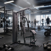 Machine de musculation tout-en-un professionnelle en fer robuste avec pile de poids de 100 kg pour entraînement complet du corps à poste unique