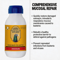 GOOD PIGEONS Potente Suplemento Líquido Diario para Palomas de Competición, Antibacteriano, Antiviral, Protección de la Salud Intestinal, 250ml, Aumenta la Vitalidad