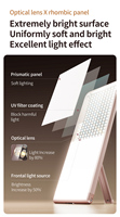 Lumière de studio LED personnalisée B2B 40W, panneau prismatique doux, éclairage vidéo pour beauté, idéal pour les influenceurs et la diffusion en direct