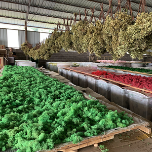 UKIQUEEN Wholesale Preserved <strong>Moss</strong> Wall Decorative <strong>Moss</strong> Wall <strong>Dried</strong> <strong>Moss</strong> for Wall - Product Image 6
