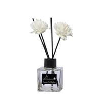 Bouteille en verre vide pour diffuseur de roseaux, parfum personnalisé, écologique, 50 ml, pour la maison et la décoration de mariage