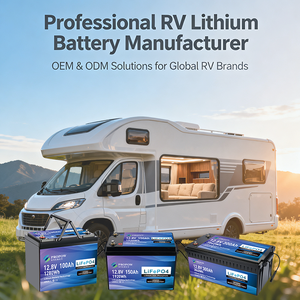 Propow OEM <b>12V</b> 100Ah 460Ah LiFePO4 <b>Battery</b> Pack 3200W High Energy Automotive Solar Marine Off-Grid Backup Home Energy Storage - Product Image 3