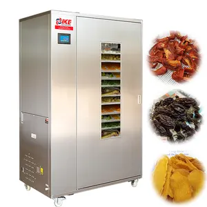 Pompe à chaleur commerciale, machine de séchage alimentaire pour raisin, déshydrateur de fruits, mangue, raisins et tomates