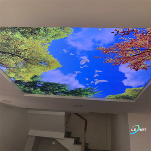 Material de decoración Interior impermeable <span class=keywords><strong>para</strong></span> el hogar, diseño de Paloma del cielo, techo elástico de plástico Pvc <span class=keywords><strong>para</strong></span> sala de <span class=keywords><strong>cocina</strong></span> - Product Image 6