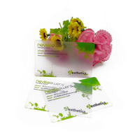 Conception Logo Transparent PVC Cartes de Visite Clair Mat Givré avec Impression Offset Carte Magnétique Pas Cher