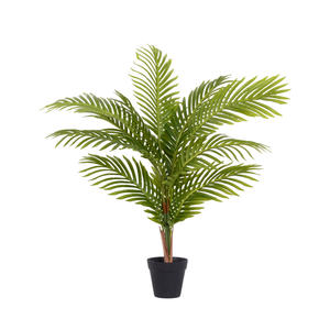 GS03-08001A venta al por mayor, precio de fábrica, ombre kwai de cola de pescado de <span class=keywords><strong>palm</strong></span> <span class=keywords><strong>dypsis</strong></span> lutescens - Product Image 1