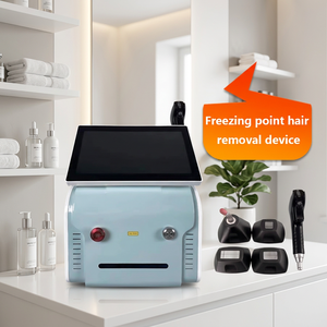 เครื่องกำจัดขนด้วยเลเซอร์ไดโอดแบบตั้งโต๊ะกำลังไฟ 1200W ยอดขายสูงสุด ปลอดภัยด้วยควอตซ์ สำหรับผู้ชายและผู้หญิง ราคาโรงงานใหม่ หลายขนาดให้เลือก - Product Image 1