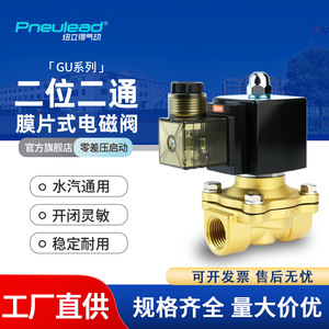 Válvula Solenoide Pneulead DC 24V 0-1 Mpa de Aire Bidireccional de Alta Temperatura con Diafragma de Cobre - Product Image 3