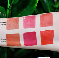 Vente en gros Kit Lèvres Marque privée Logo personnalisé Longue durée Cosmétique Vegan Marque privée Rouge à lèvres liquide mat avec crayon à lèvres