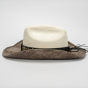 Sombrero de Vaquero Unisex de Cuero PU 2025, Color Beige con Estampado de Serpiente, Ala con Decoración de Cabeza de Toro Dorada, Cinturón Negro, Estilo Occidental - Product Image 3