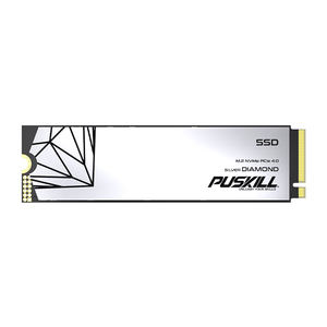 PUSKILL alta calidad M2 NVME 2280 128GB 256GB 512GB 1TB M.2 Pcie 4,0 Nvme para computadora portátil - Product Image 1