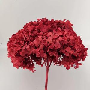 HFloral vente en gros diamètre 20 ~ 40 cm plante naturelle préservée <span class=keywords><strong>fleurs</strong></span> hortensia bouquet pour la maison boutique de mariage - Product Image 2