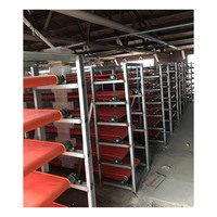 Vendable tout automatique H type boîte de galvanisation à chaud couche cage de caille/cages de batterie de caille pour grande ferme de cailles